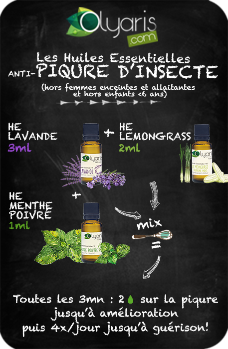 Remède aux Huiles Essentielles pour Piqures d'insectes (moustique, meduse, guepe, araignée) - par Olyaris